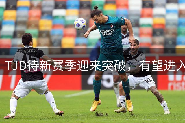 TJD待新赛季迎来突破，有望进入猛龙轮换阵容